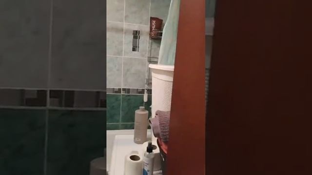 Сдаю 2 ком кв в Кисловодске! смотреть онлайн