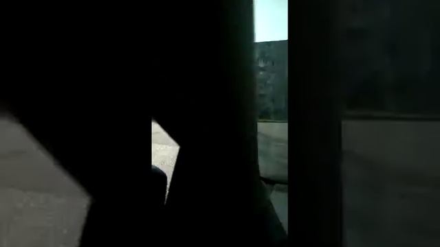 В Зеленодольске из леса сбежал ЛОСЬ смотреть онлайн