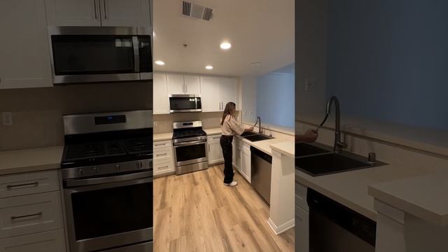 Квартира в Лос Анджелес: цена, обзор смотреть онлайн