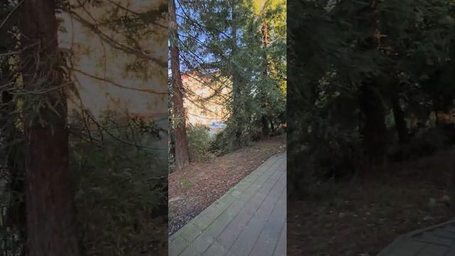 МАКАРЕНКО - идеальный район для жизни в Сочи? смотреть онлайн