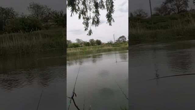 В парке Шахтера смотреть онлайн