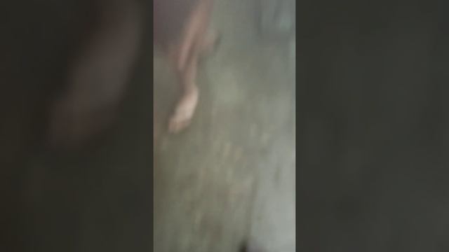 Ливневка Бейвеля 35 смотреть онлайн