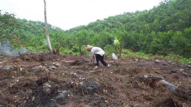 200 Day - The Single Mother was Chased Away by The Villagers - Building a Life of Isolation смотреть онлайн