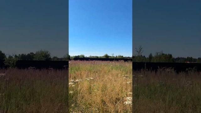 Огороженный участок 27,5 соток с бытовкой и колодцем в деревне Арсаки, Александровский район. смотреть онлайн