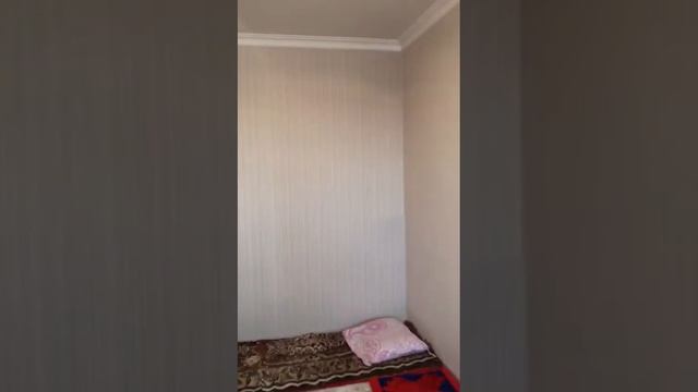 Лесная поляна до 30 смотреть онлайн