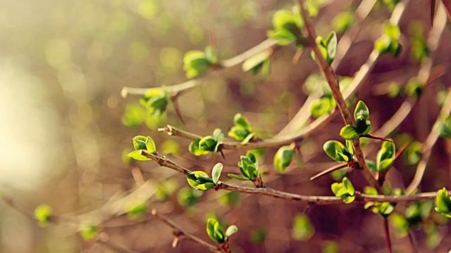 Небольшие новости. смотреть онлайн