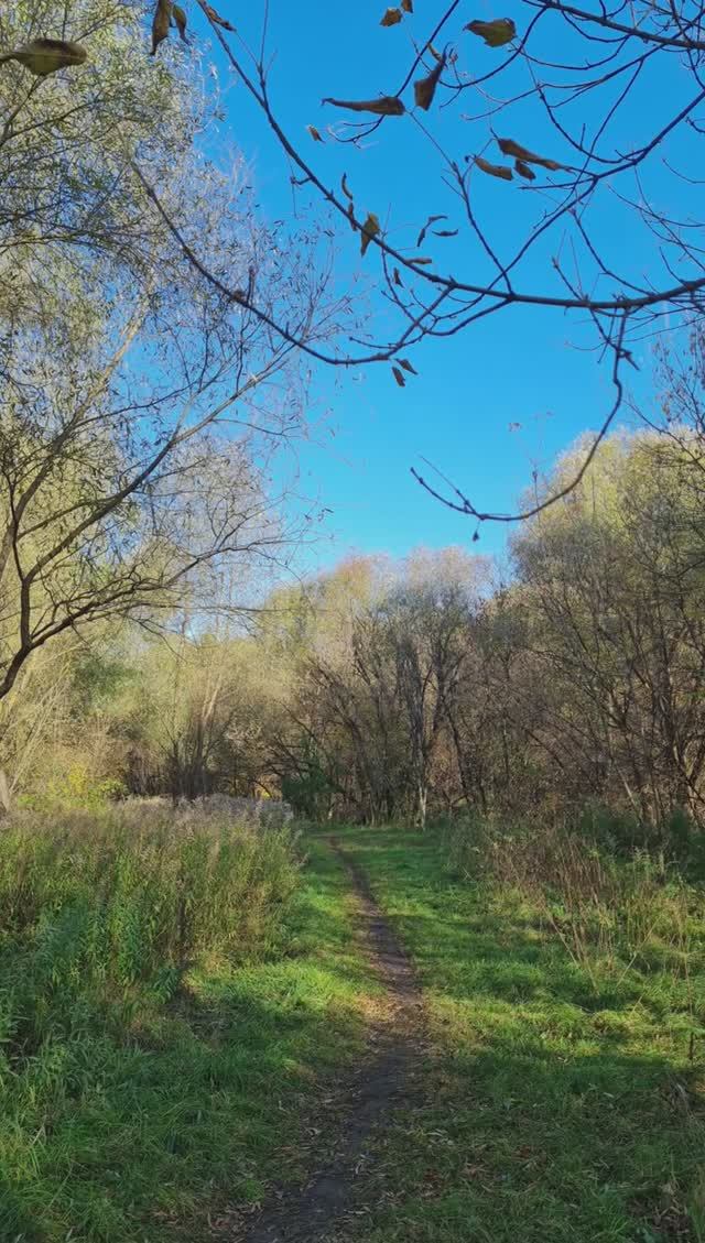 Фотки по пути в парк, осень 2024