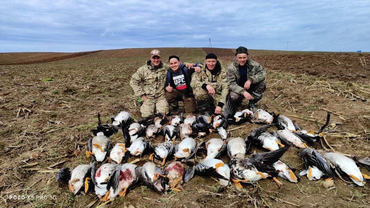 Халявная охота на гуся. Охота на гуся 2024. Охота в Беларуси. 6.04.2024 смотреть онлайн