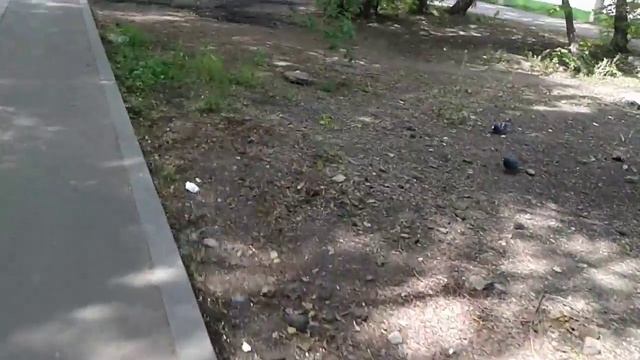 ул коммунистическая 25 смотреть онлайн