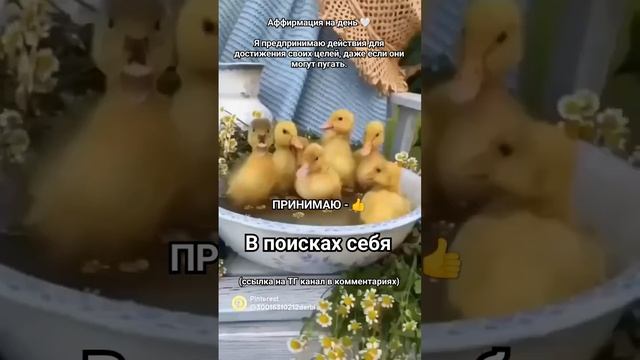 Аффирмация на день 🥰 #психолог #аффирмация #психология #рекомендации #топ #жизнь #любовь #отношения смотреть онлайн