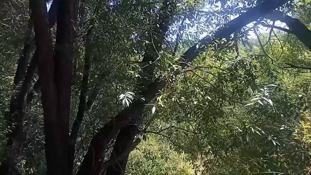 Квартирный Мир