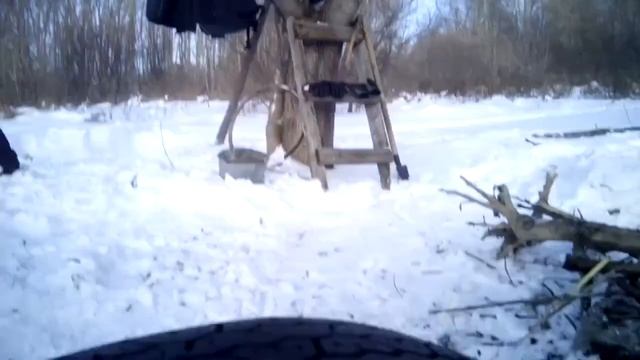 встреча старых друзей в лесу!!!!meeting old friends in the forest смотреть онлайн