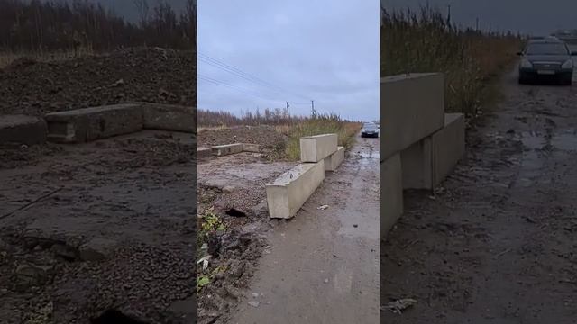 Незаконная свалка закрыта! @allaandreeva5593
