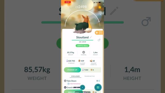 Pokemon GO - Shiny Lillipup, Shiny Herdier and Shiny Stoutland (iPhone 12 Pro Max) Pokémon GO смотреть онлайн