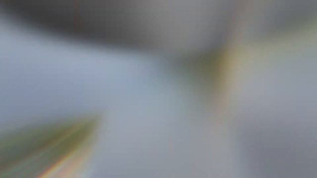 Подключаемый гибрид от Рендж Ровер смотреть онлайн