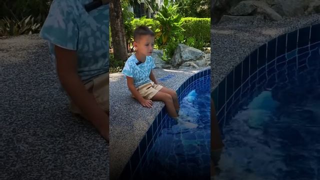 Ты не угадаешь с недвижимостью, если… #недвижимость #таиланд #тай #инвестициивнедвижимость #питер смотреть онлайн