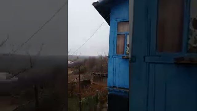 видео смотреть онлайн