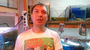 Черепахи и рыбки в одном аквариуме! Возможно?