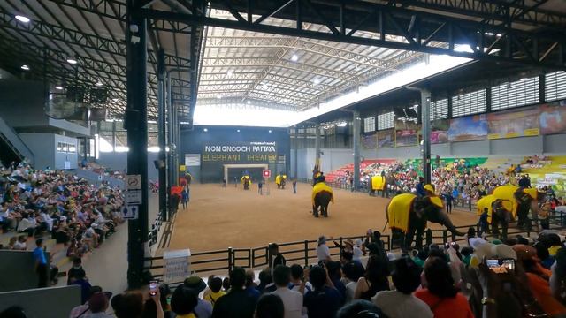 Паттайя Pattaya elephant show part 3 смотреть онлайн