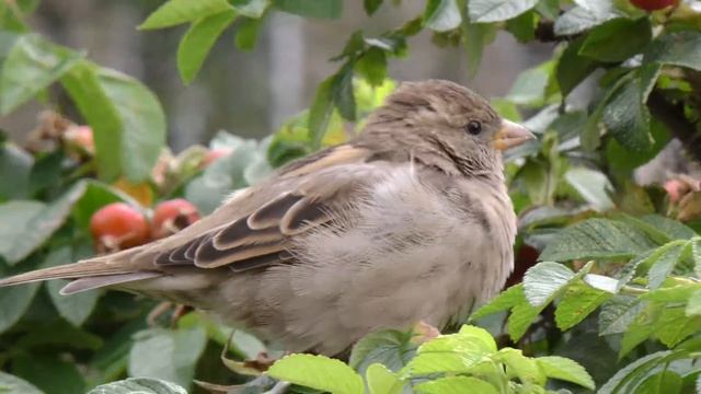 Контроль на каждом этапе – залог успешного капремонта