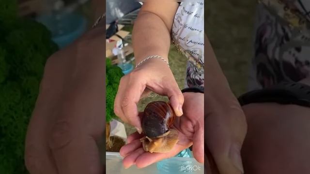 Зачем ехать надо? Бирск, Башкортостан смотреть онлайн