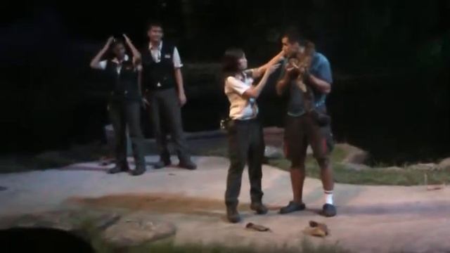 Night Safari Singapore- Snake смотреть онлайн