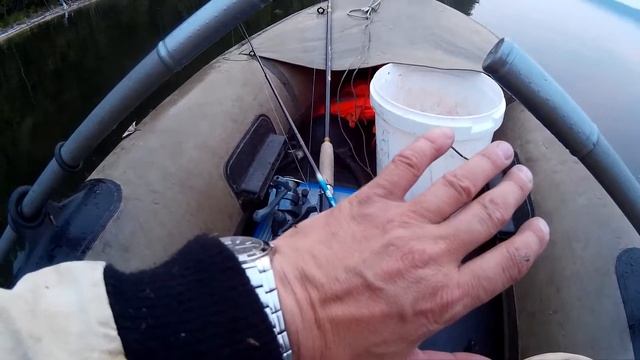 Комары чуть не загрызли. смотреть онлайн
