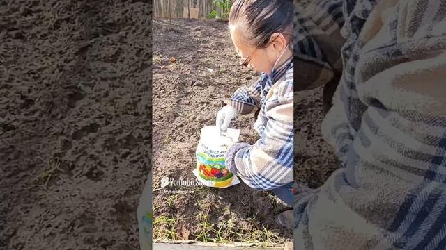 Как раскислить почву#shorts #огород смотреть онлайн