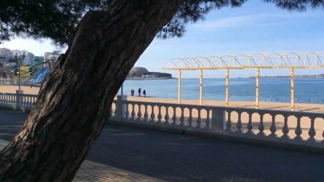 Геленджик-1февраля 2017г смотреть онлайн