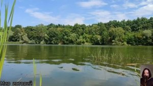 Свекровь схватила невестку за руку и прошипела - Ты должна свои деньги отдать моему сыну на квартир