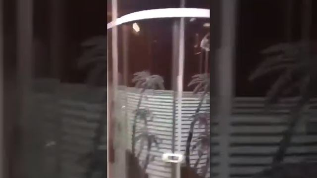 ДОМ НА КОЛЁСАХ В ДУБАЕ