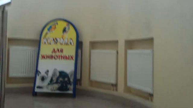 2 Троицк, ул Центральная, 12 смотреть онлайн