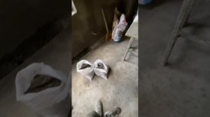 Цементная штукатурка Пластификатор + Фиброволокно