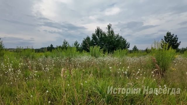 Нотариус перенес оглашение завещания, и Жанна поспешила навестить сына в больнице. А услышав… смотреть онлайн