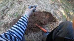 экспидиционное дело с димычем