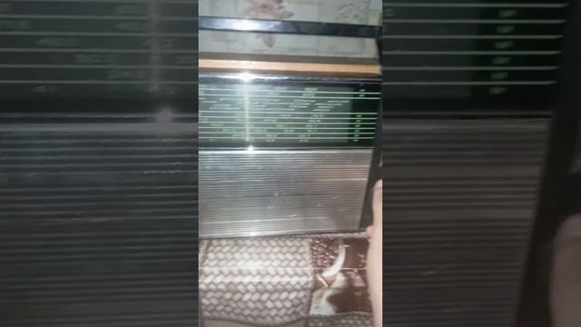 мониторинг укв св КВ на границе ЛО И КАРЕЛИИ ночью смотреть онлайн