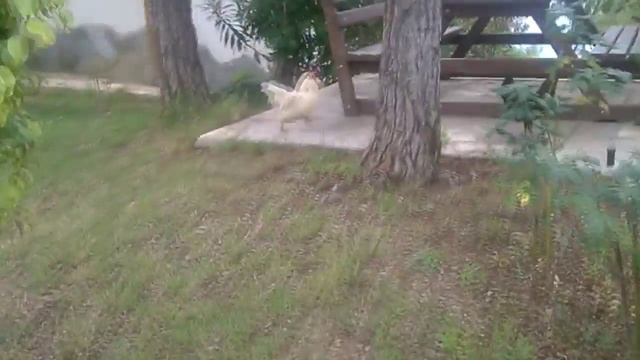 Отель утопия Utopia World Hotel (часть 1 из 6). Основной бассейн, виллы, аквапарк.