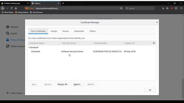 Citrix Netscaler Client Authentication Demo смотреть онлайн