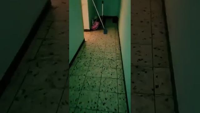 Vermietung der Wohnung an Ukrainer/Сдал квартиру украинцам..... смотреть онлайн