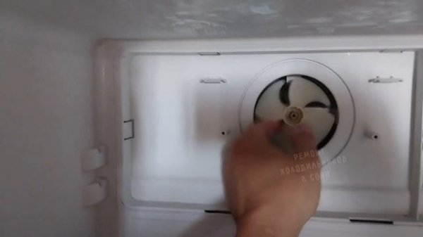 Холодильник Индезит шумно работает