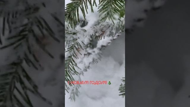 С наступающим 2023 годом!🎄 #хантымансийск смотреть онлайн