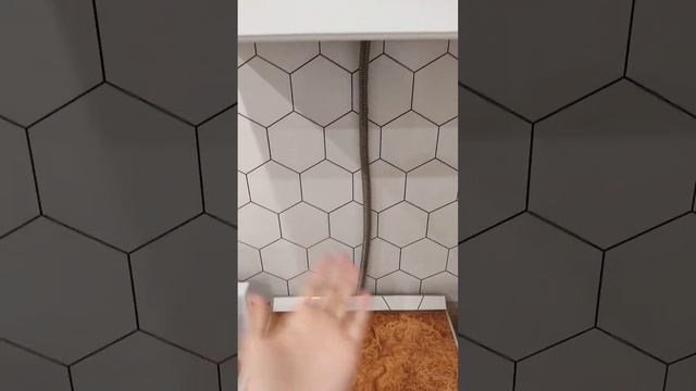 А У ВАС ТАКЖЕ С РЕМОНТОМ? 🤣 #ремонт #кухня #приколы смотреть онлайн