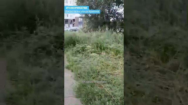 Джунгли на улице Крайняя смотреть онлайн