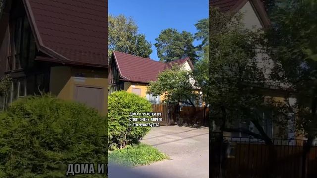 🦊 Лисий нос Питера - что за чудо? смотреть онлайн