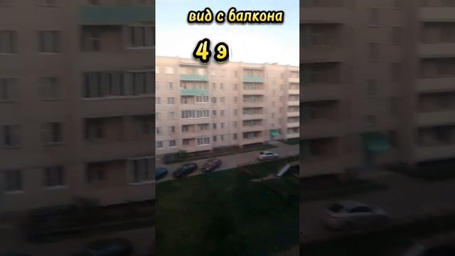 вечер в боровичах