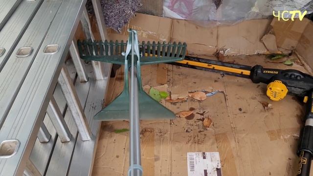 ТОП ИНСТРУМЕНТОВ ЧЕМ ОБРЕЗАТЬ ЖИВУЮ ИЗГОРОДЬ, КУСТЫ? МОЙ ОПЫТ. ПРИМЕРЫ. смотреть онлайн