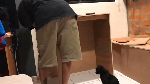 Building custom gaming table with L shape bay window for me and my cats |SUPER CHEAP| PART 1 смотреть онлайн