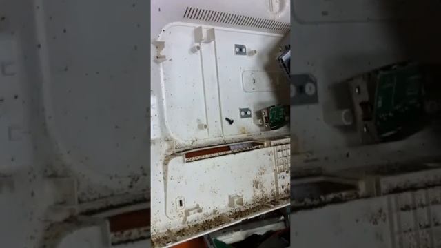 Тараканы: Чистилище! 18+ смотреть онлайн