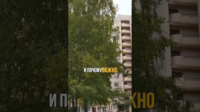 Разгадка феномена брежневок: кто и почему их покупает в 2024 году? смотреть онлайн