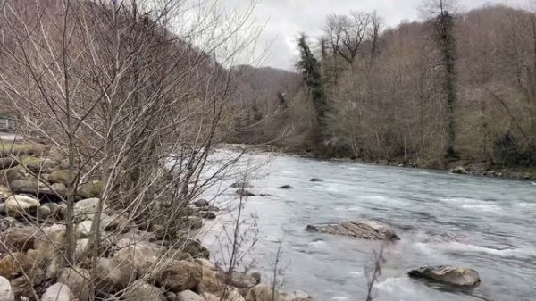 ЖК СВЕТСКИЙ ЛЕС | СТАРТ ПРОДАЖ | СТОИМОСТЬ ₽